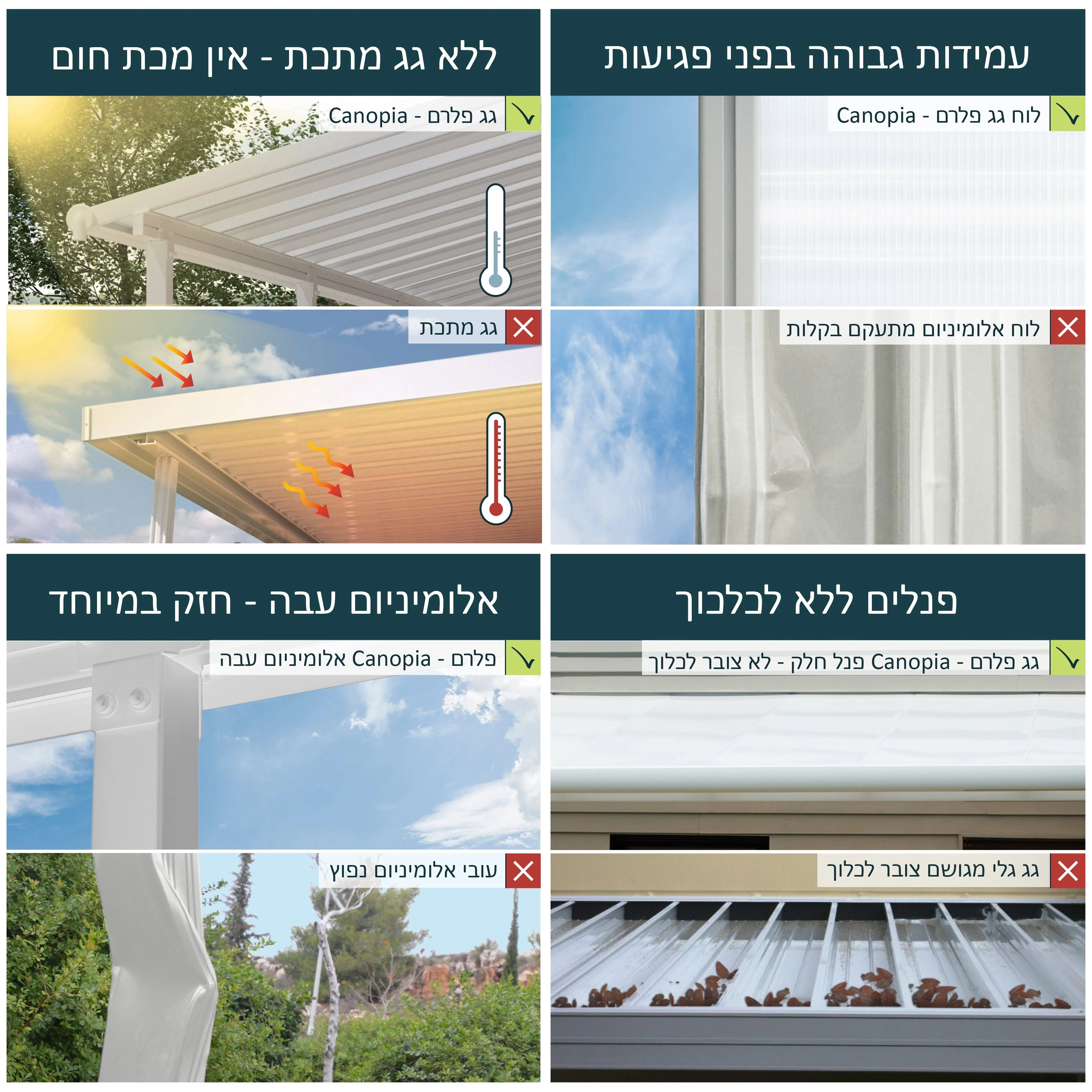 תמונה ממוזערת 5