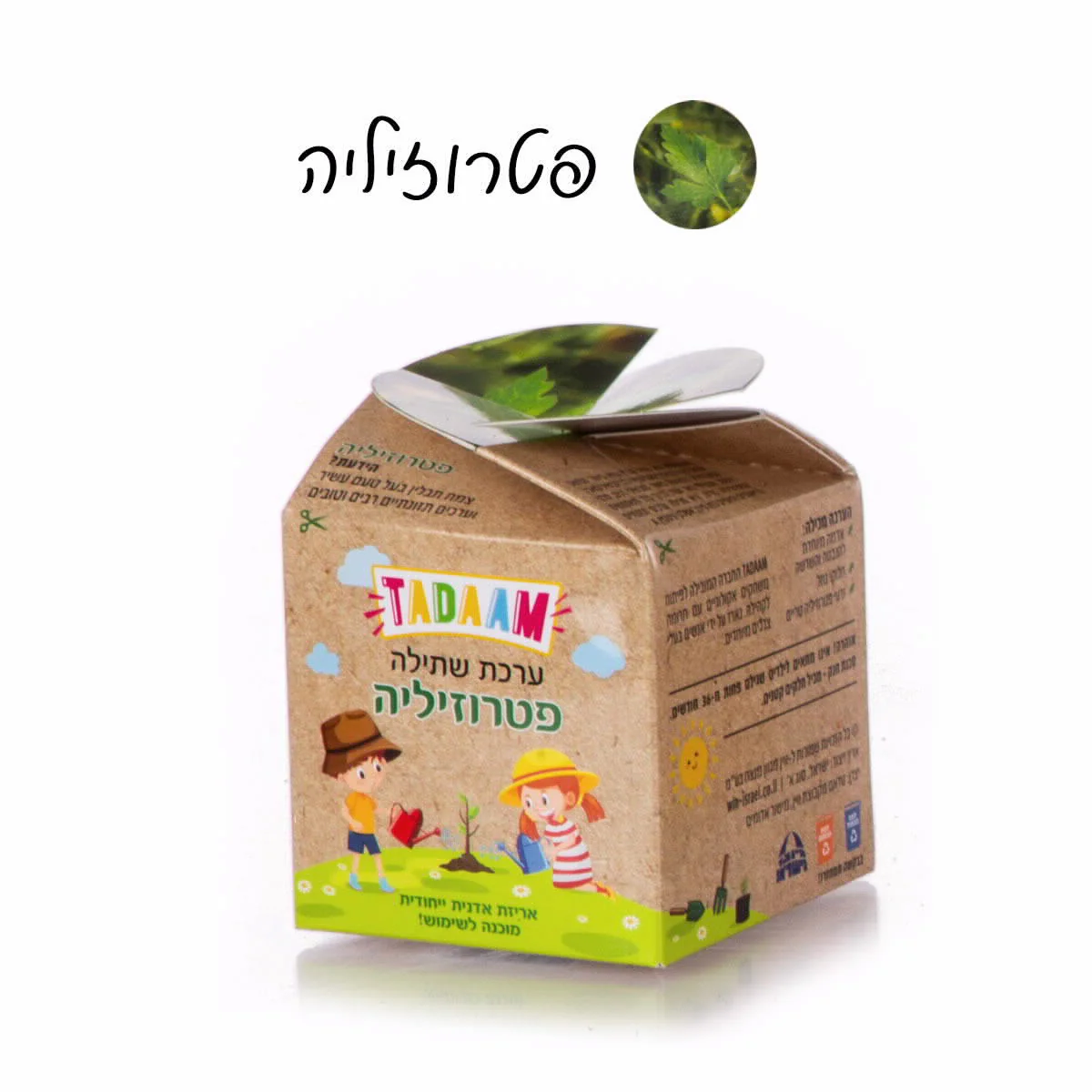 תמונה ממוזערת 3