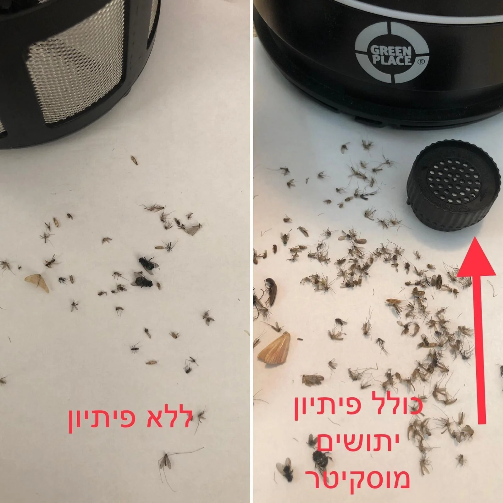 תמונה ממוזערת 2